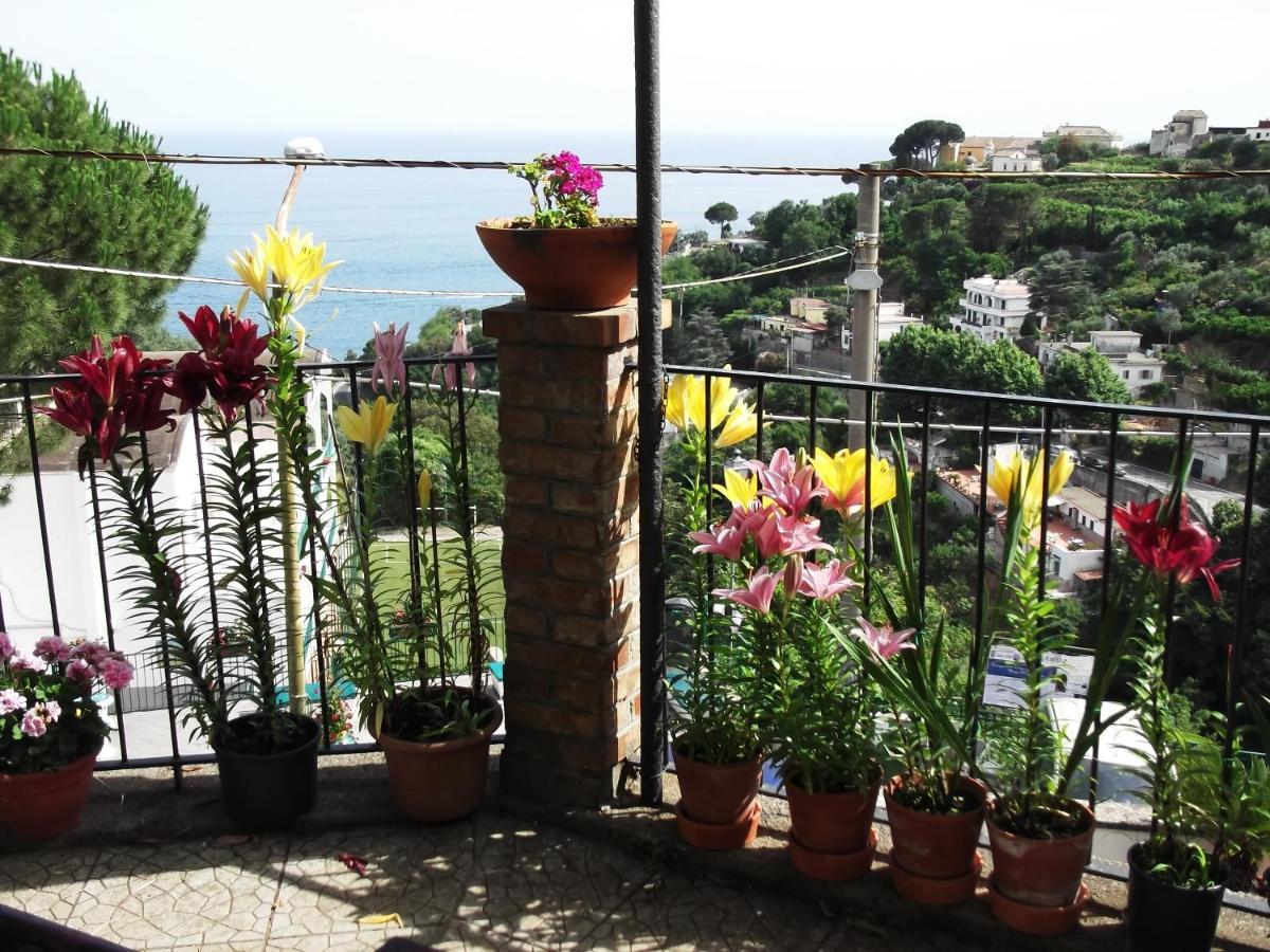 Le Mimose Villa Vietri sul Mare Exterior photo