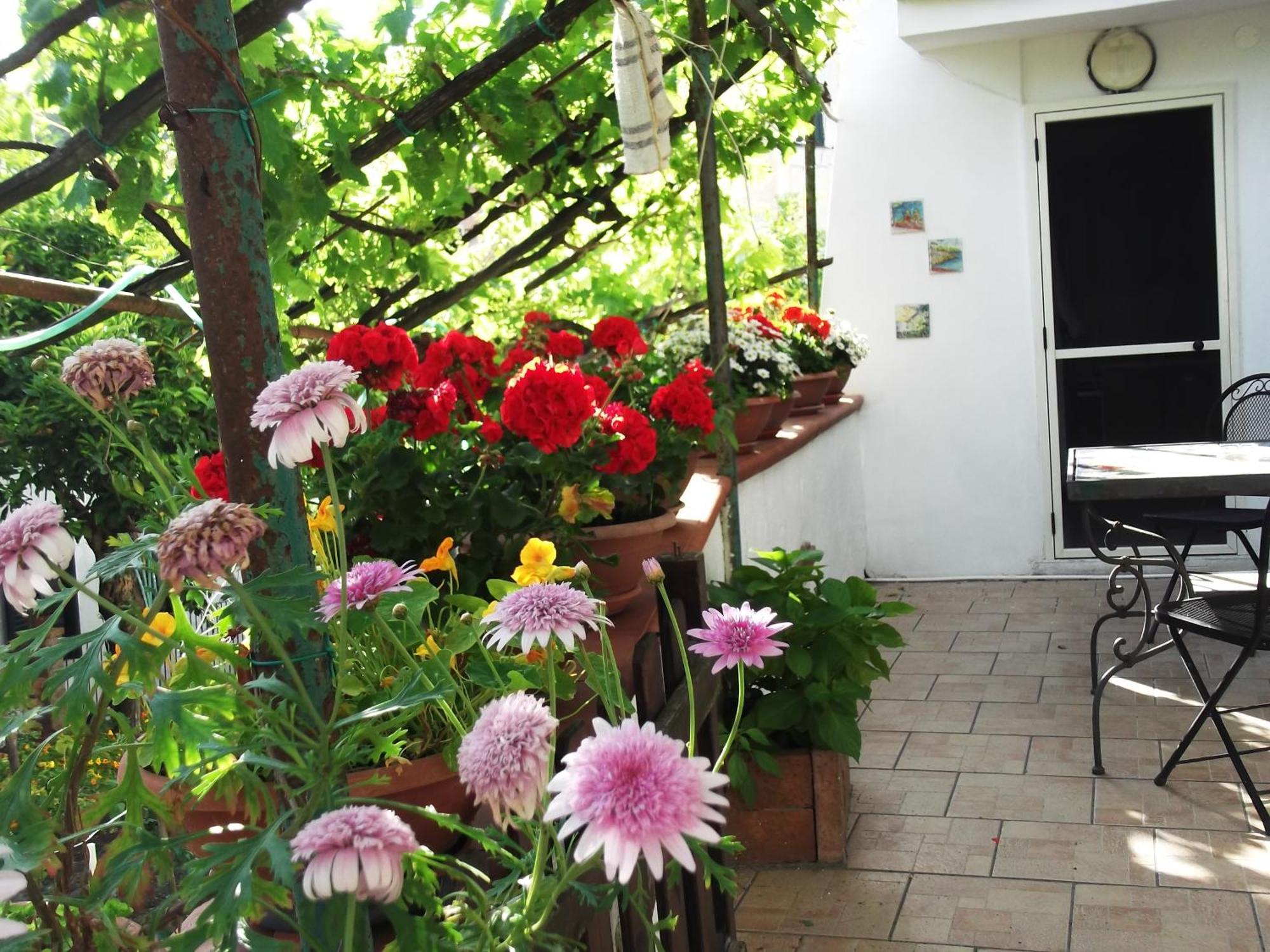 Le Mimose Villa Vietri sul Mare Exterior photo