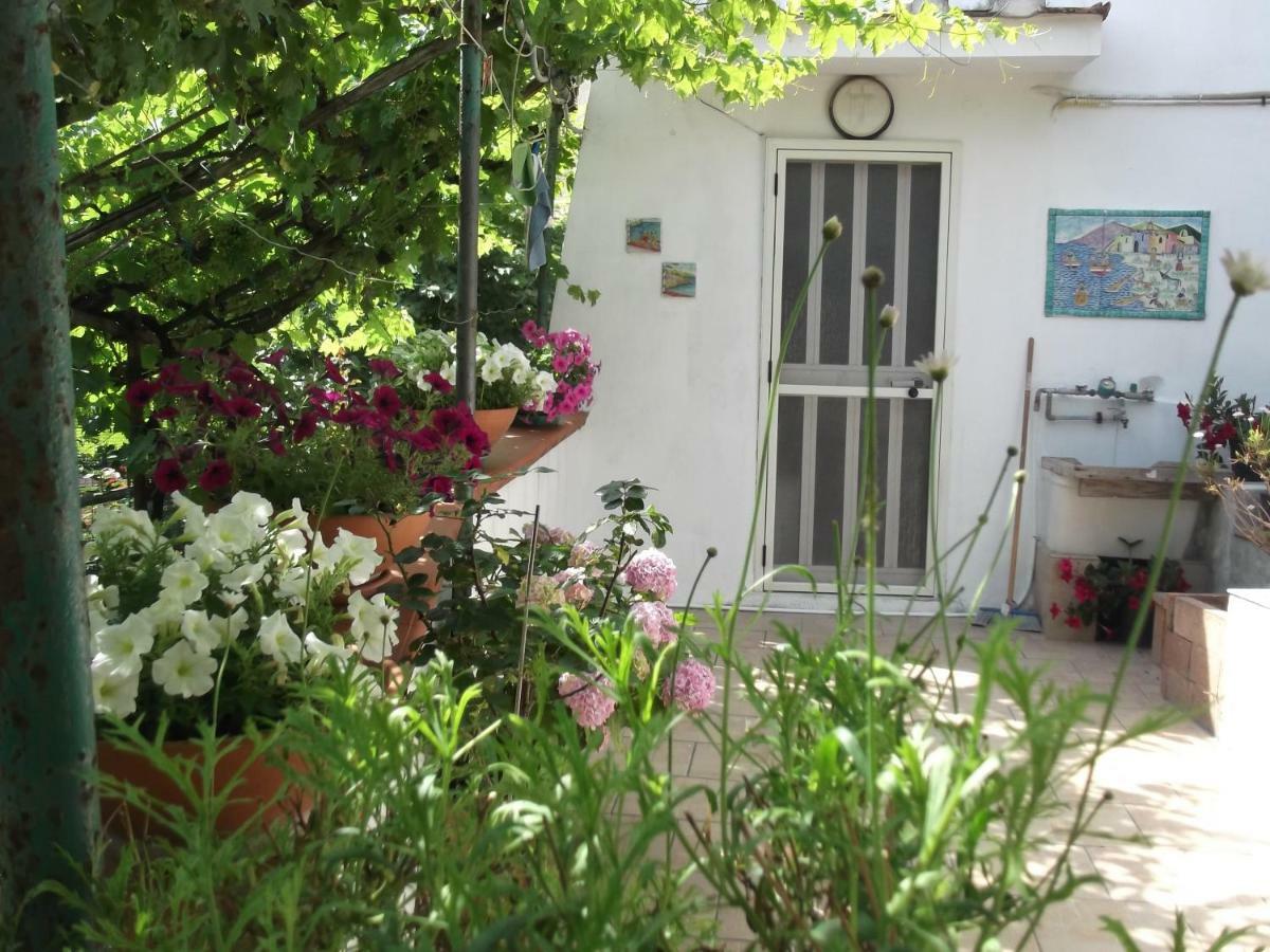 Le Mimose Villa Vietri sul Mare Exterior photo