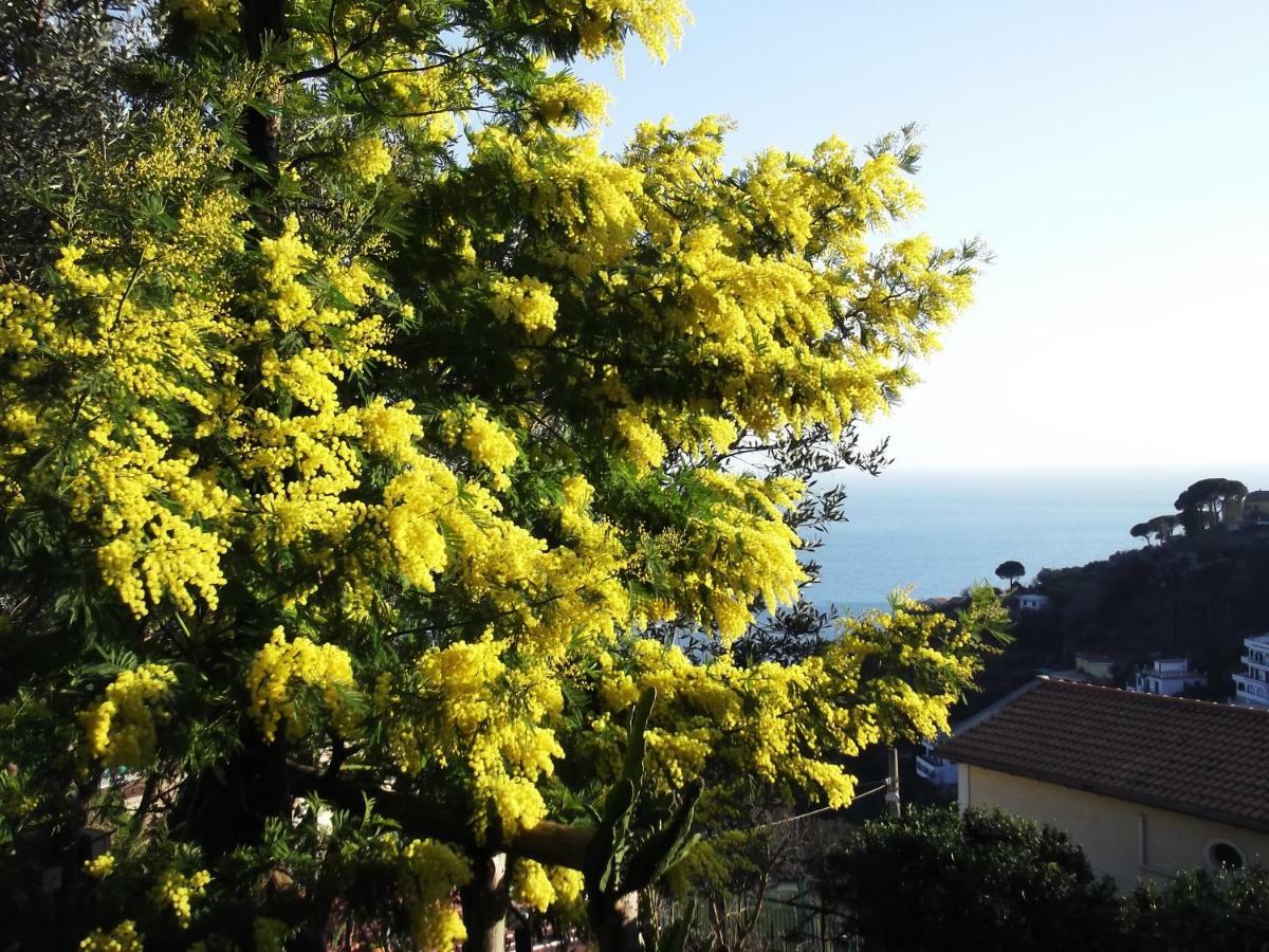 Le Mimose Villa Vietri sul Mare Exterior photo