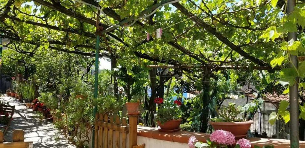 Le Mimose Villa Vietri sul Mare Exterior photo